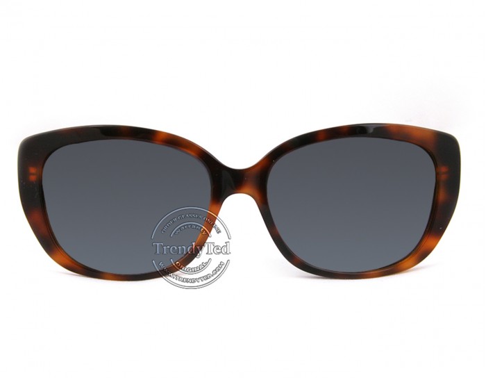 Dior sunglasses model Lady2R color GRSHD TrendyTed