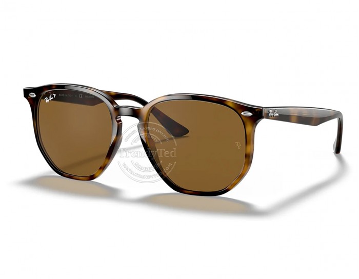 RayBan sunglasses model RB4306 color 710/83 RayBan - 1
